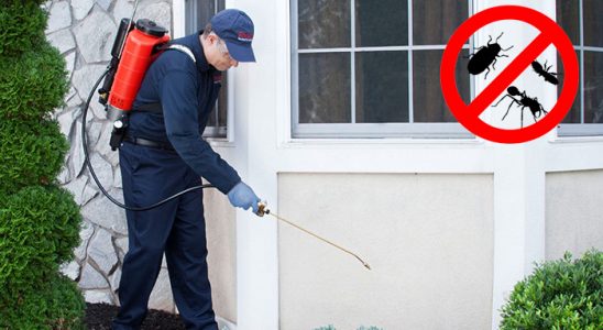 Başkale Böcek İlaçlama böcek ilaçlama ve haşere kontrolü — ilaclama-tr.com